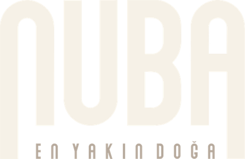 Nuba İstanbul