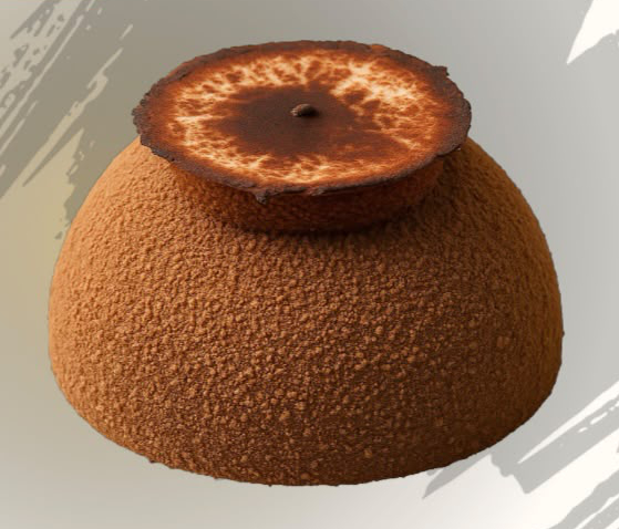 Chocolate Dome Cake